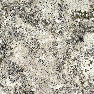 Alaska White – Granit